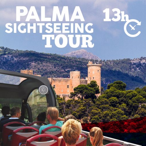 palmasightseeingtour-producto-13 palmasightseeingtour-producto-13