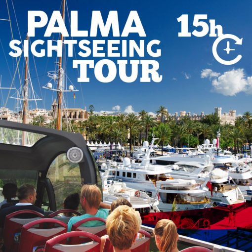 palmasightseeingtour-producto-15 palmasightseeingtour-producto-15