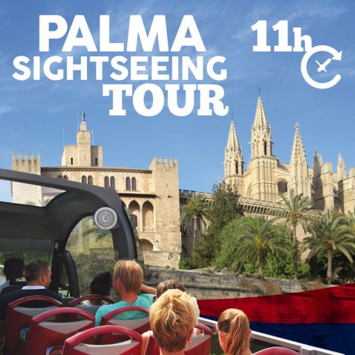 palmasightseeingtour-producto palmasightseeingtour-producto