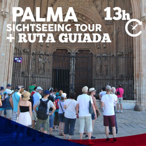 palmasightseeingtour-ruta-producto-13 palmasightseeingtour-ruta-producto-13